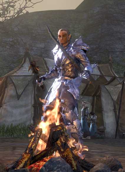 altmer2.jpg
